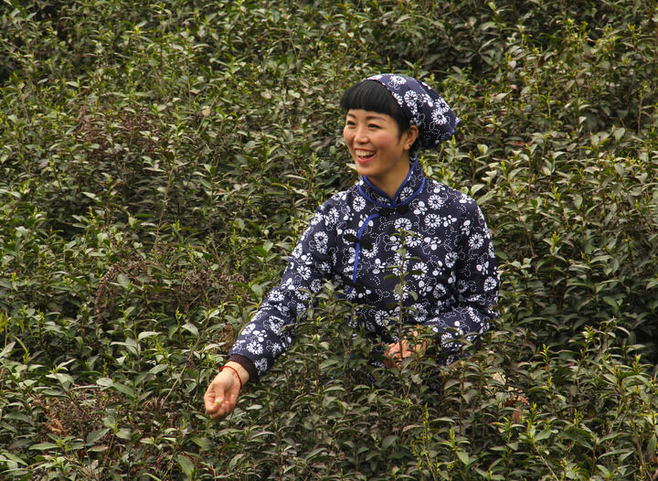资讯3